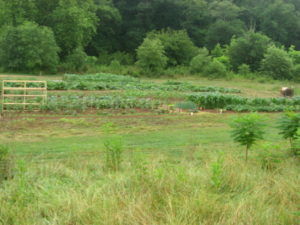Macon County Community Garden