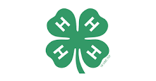 4-H Clover