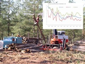 Forestry - timber sales
