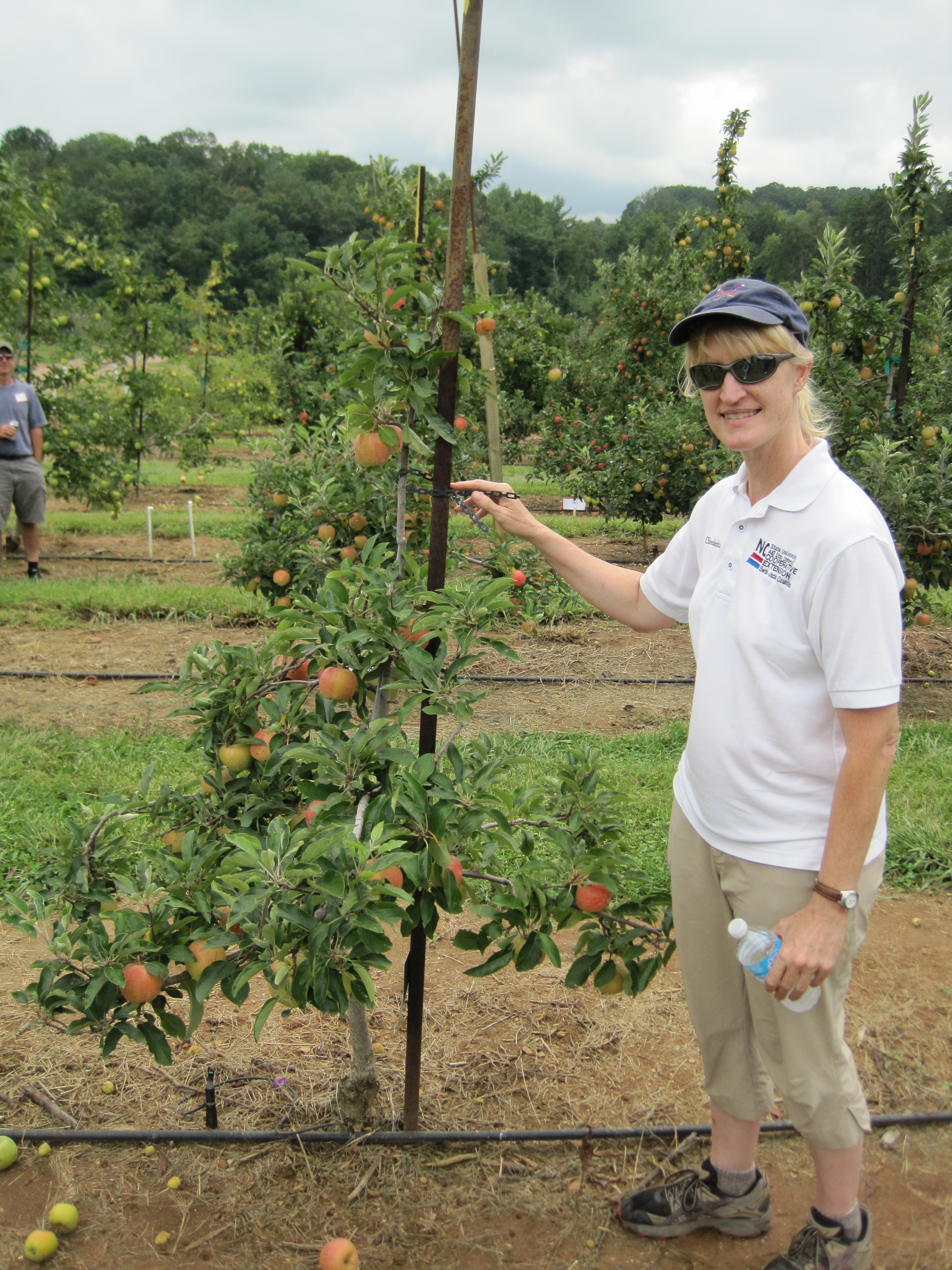 Home Orchard
