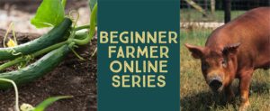 Cover photo for Beginner Farmer Online Series