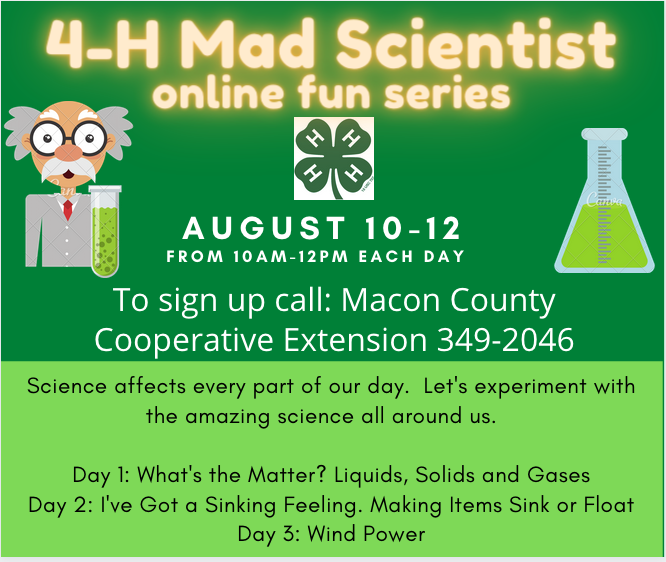 4-H Mad Scientist Flyer