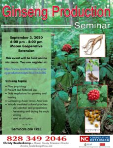 Ginseng Flyer