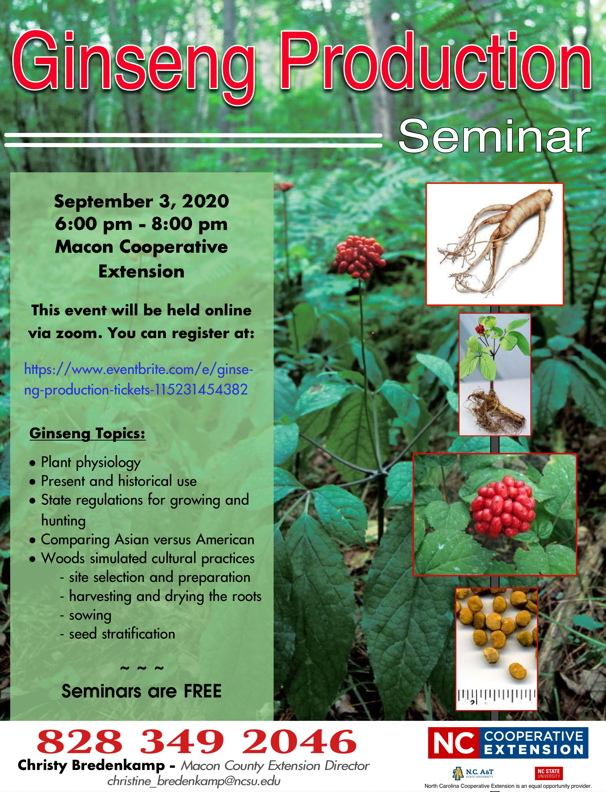 Ginseng Flyer