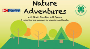 Nature Adventures