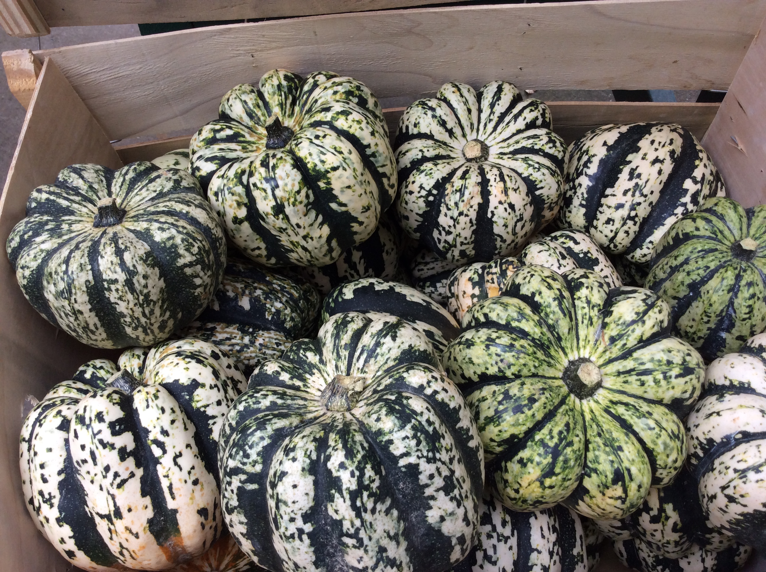 Acorn Squash