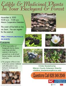 Edibles in the Forest Workshop