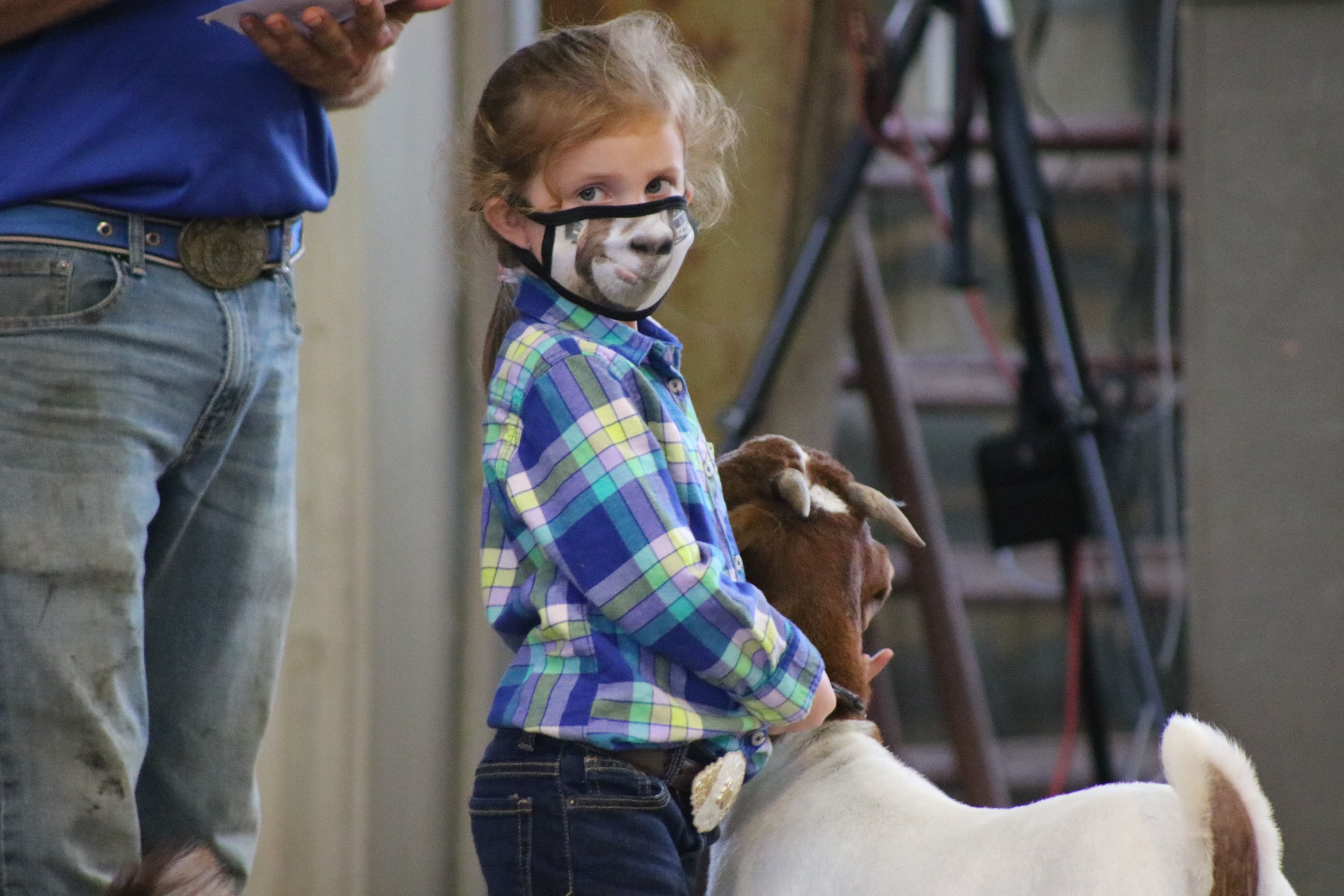 Livestock Show Goats