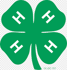 4-H Clover