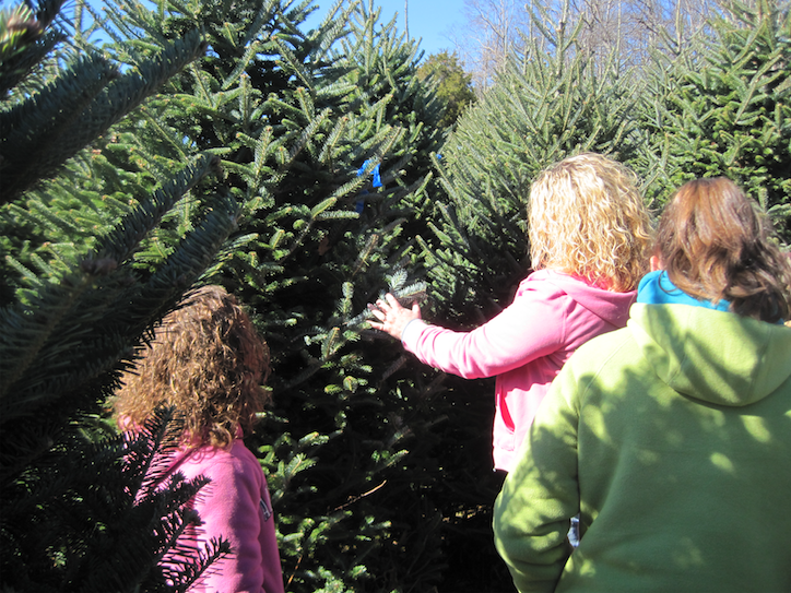 Mom and Two Daughters picking our their perfect Christmas Tree