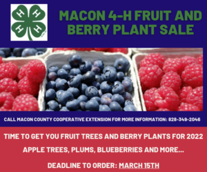 4-H Fruit Tree and Berry Sale