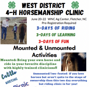WD 4-H Horse Clinic
