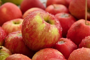 Cover photo for A Guide to Choosing the Best Apple for Preserving