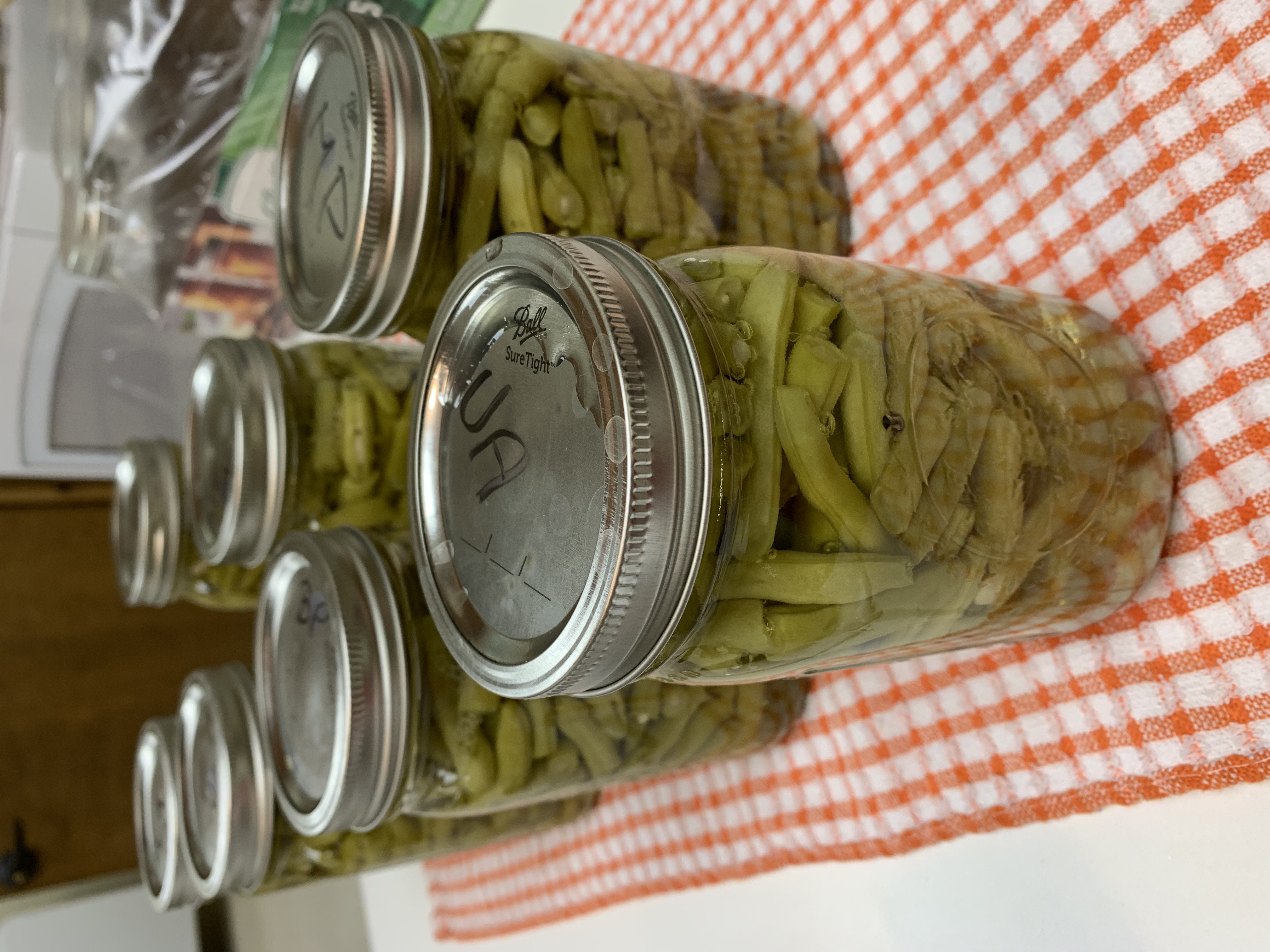 CAnned Green Beans