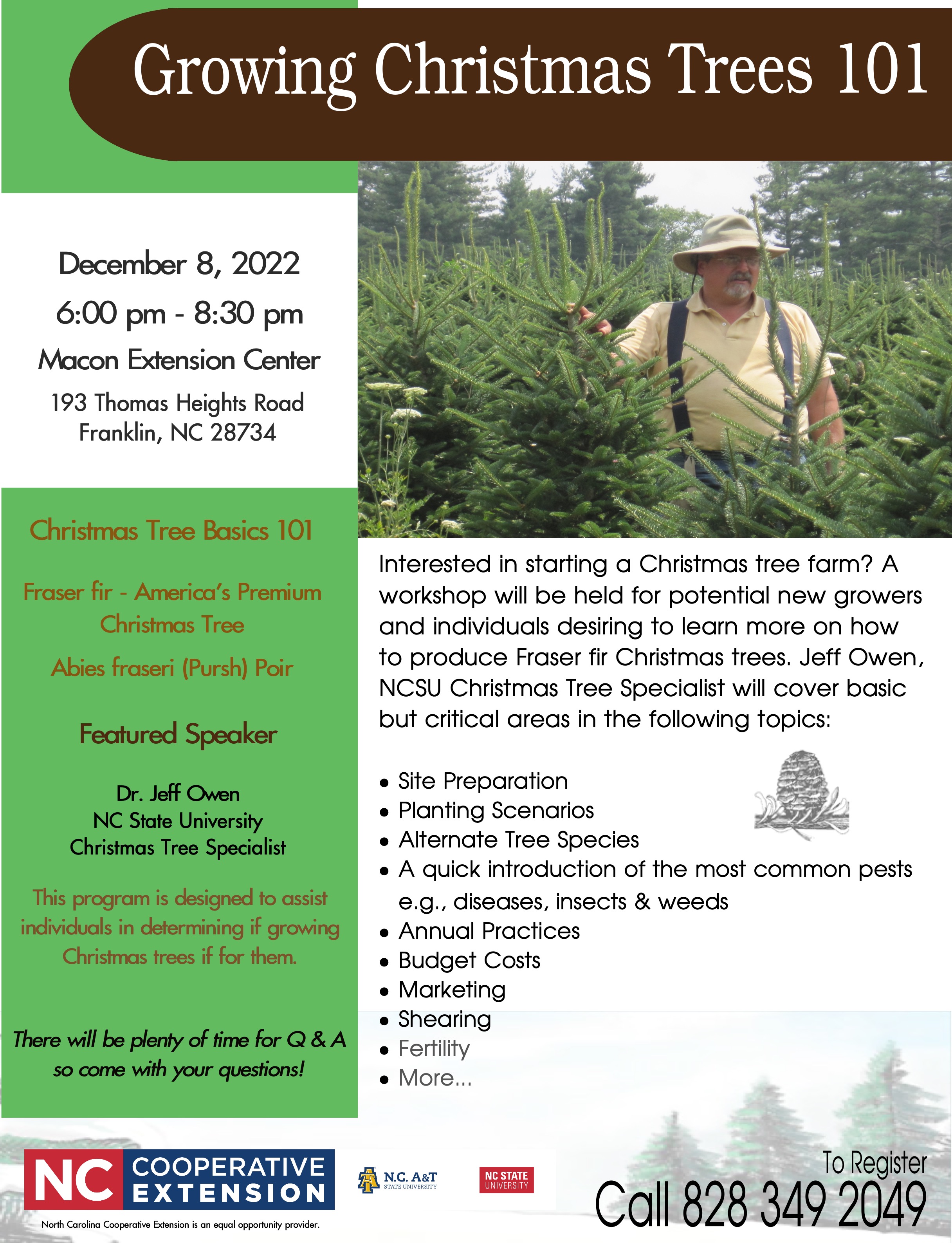 Growing Christmas Trees 101