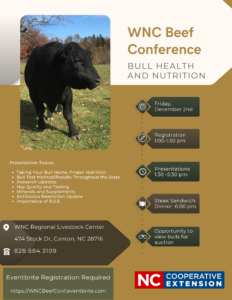 WNC Beef Conference Flyer