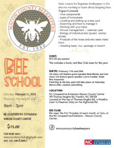 Bee School Flyer