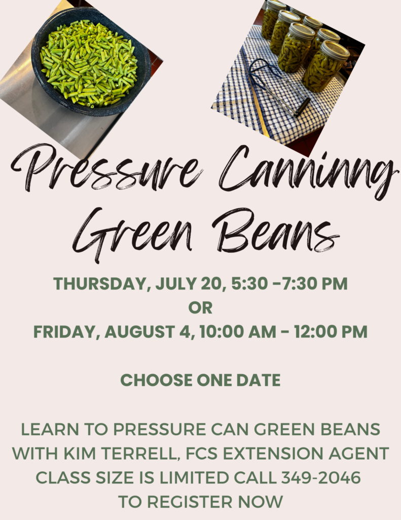 Pressure Canning Green Beans Flyer
