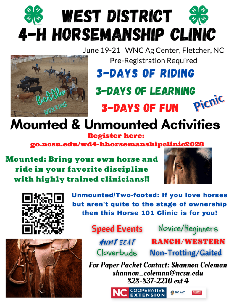 WD 4-H Horsemanship Clinic