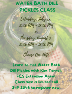 Water Bath CAnning Dill Pickles