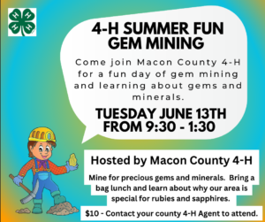 Cover photo for 4-H Summer Fun - Activities