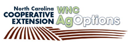 WNC AG Options