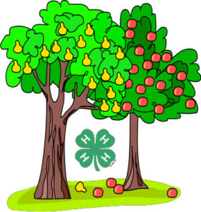 4-H Fruit Trees