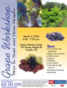 Grape Workshop Flyer