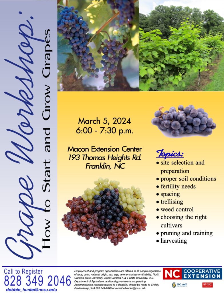 Grape Workshop Flyer