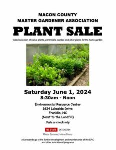 MG Plant Sale Flyer