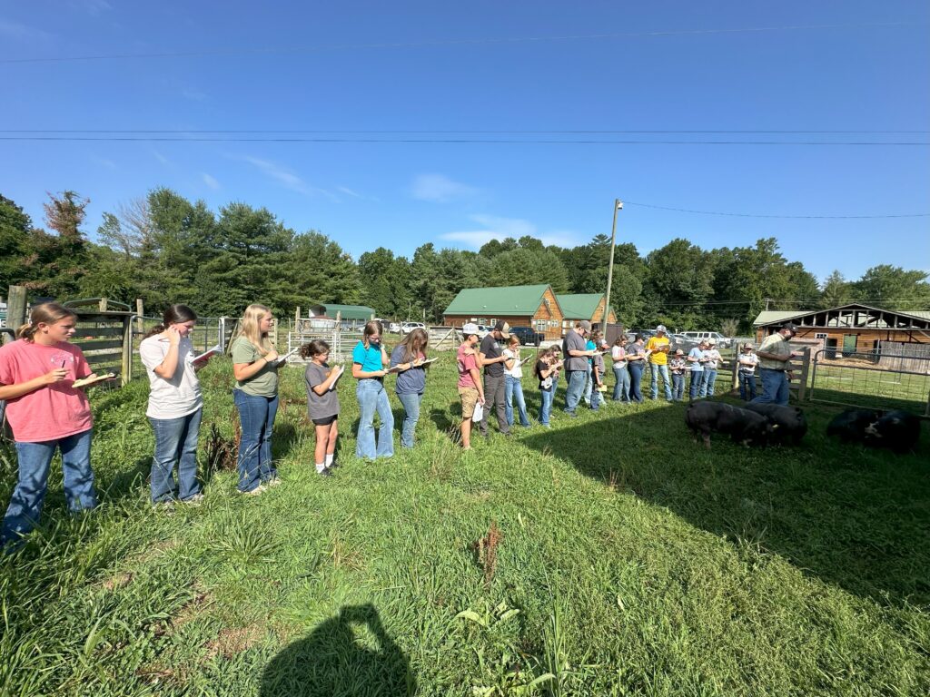 Livestock Judging