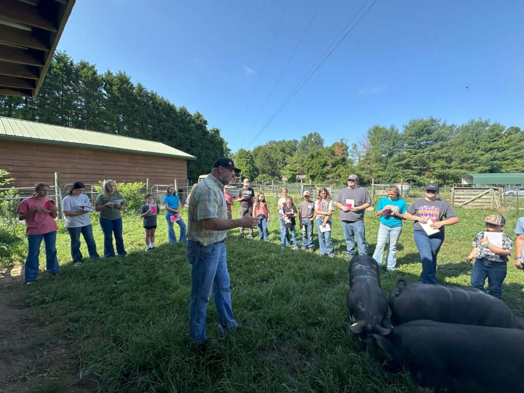 Livestock Judging