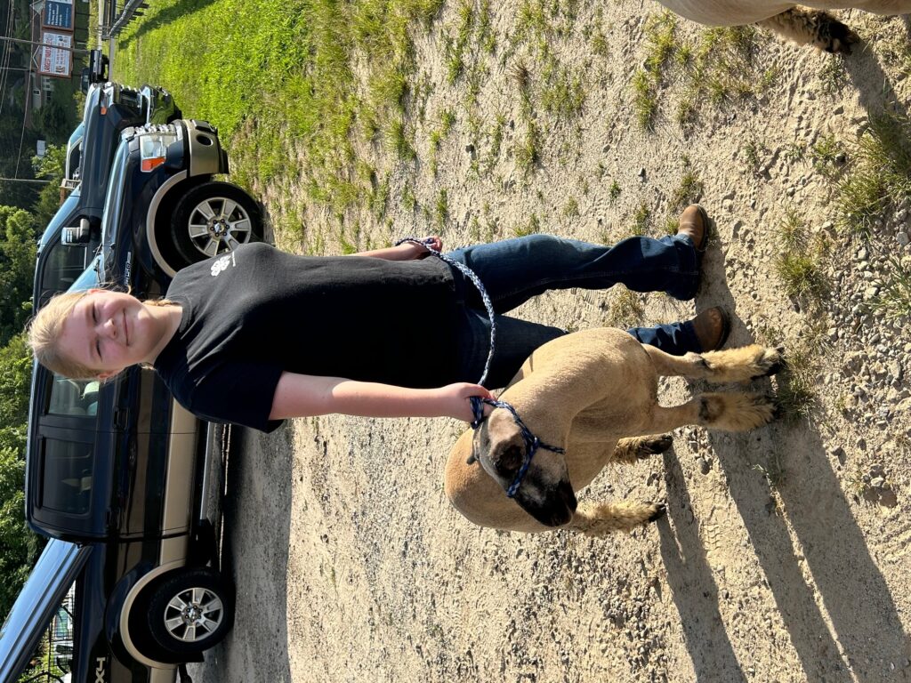 4-H'er with her lamb