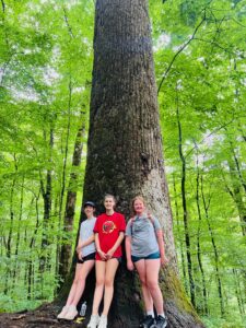 Cover photo for Macon County 4-H Summer Fun Hikes Joyce Kilmer National Forest