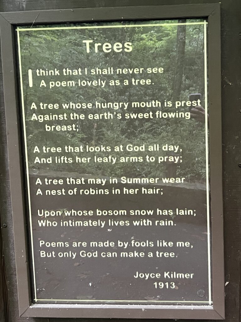 Tree poem