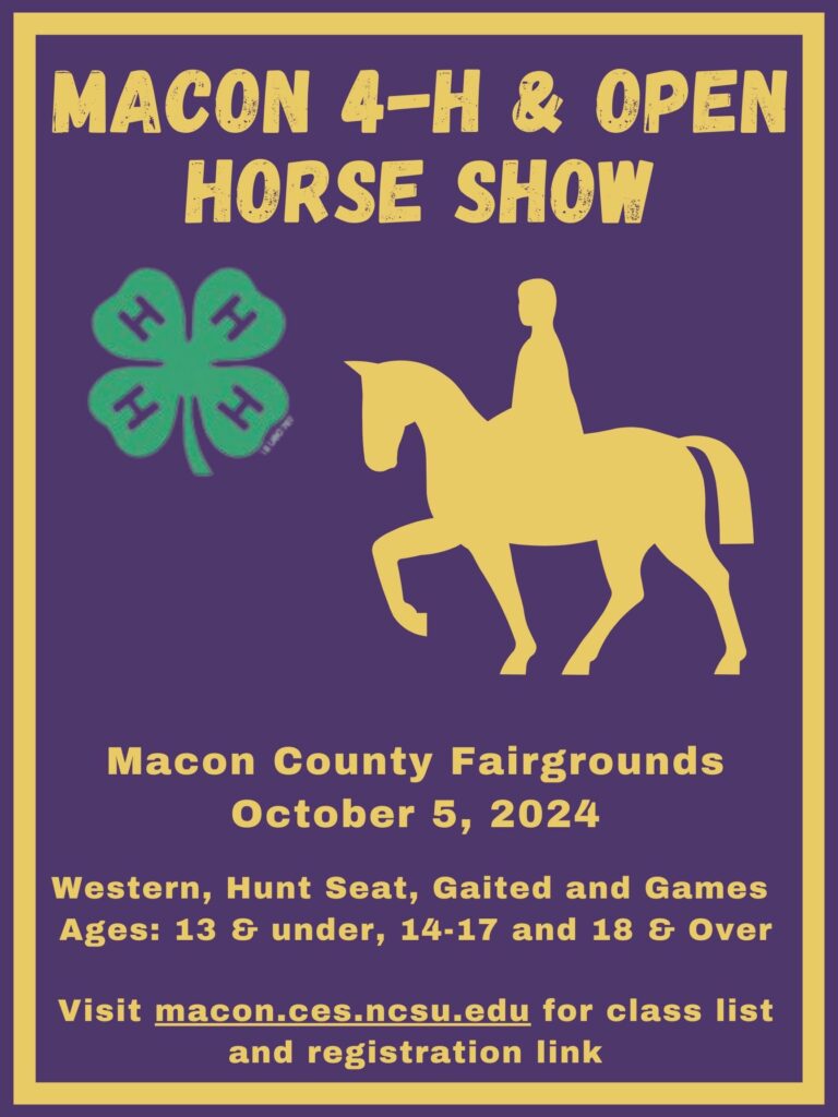 4-H Horse Show Flyer