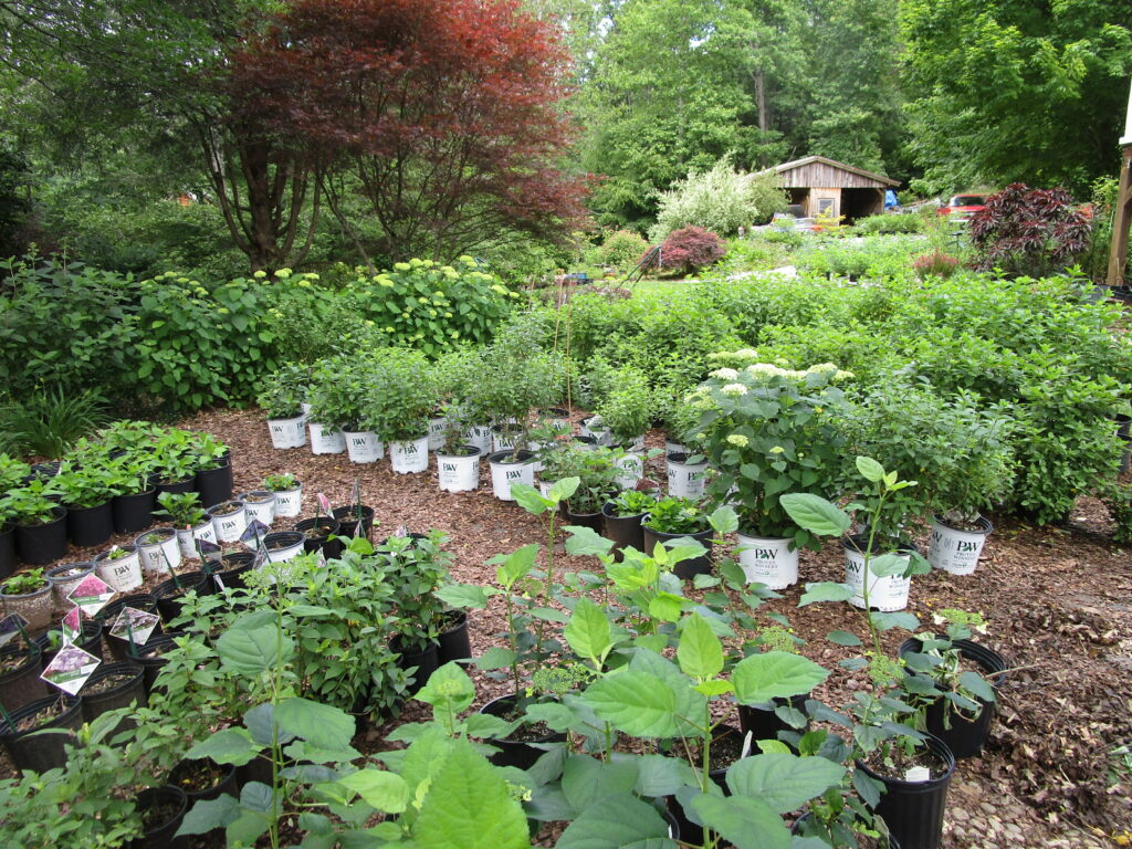 Nursery in Macon County