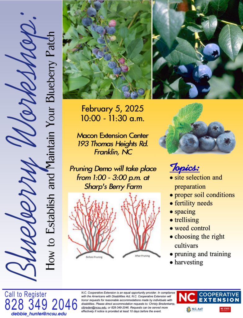 Blueberry Workshop Flyer