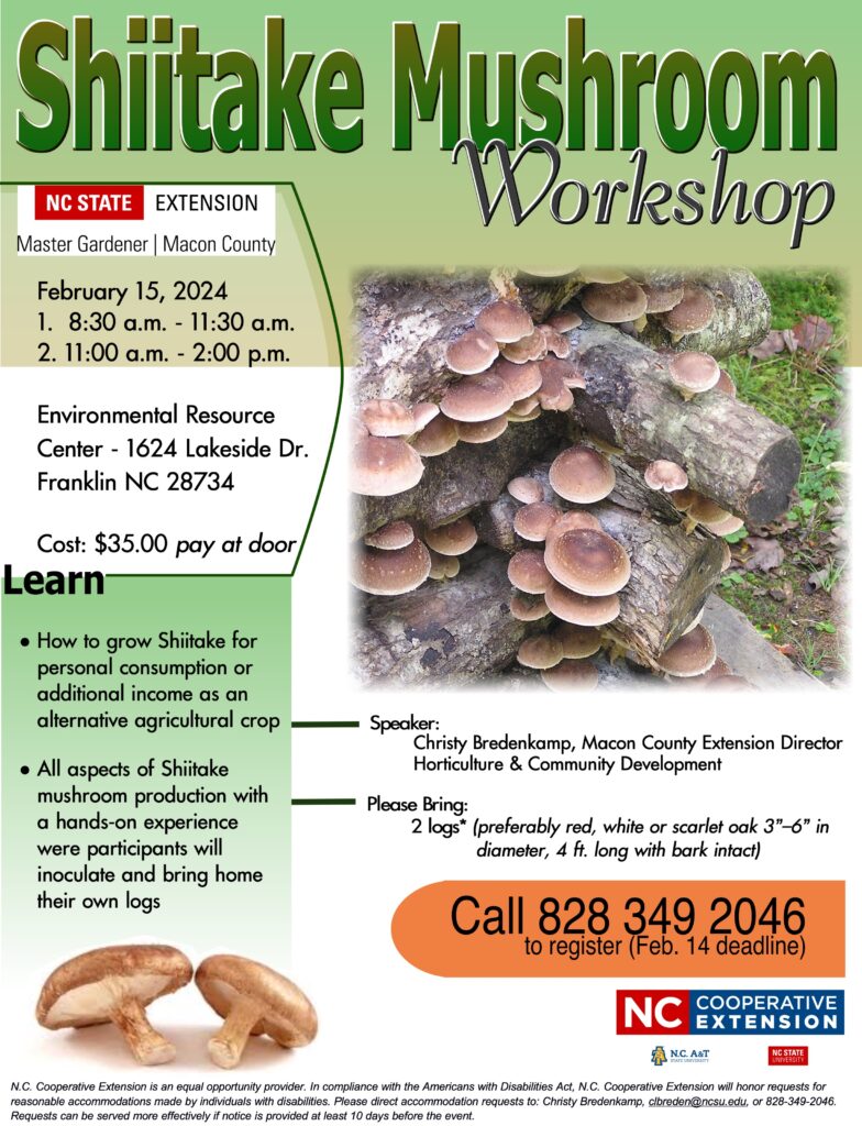 Shiitake Mushroom Workshop