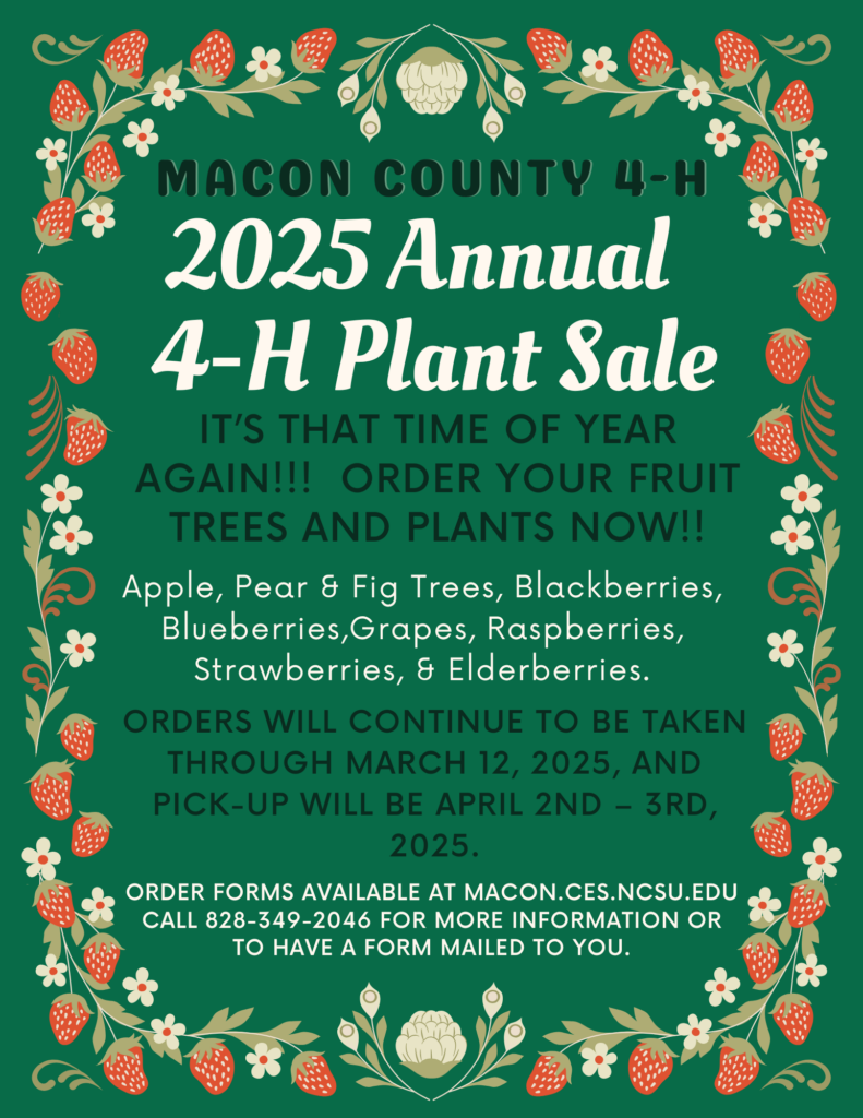 4-H Plant Sale Flyer