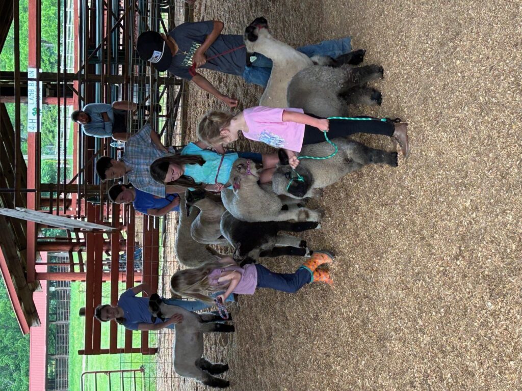 Lamb Workouts