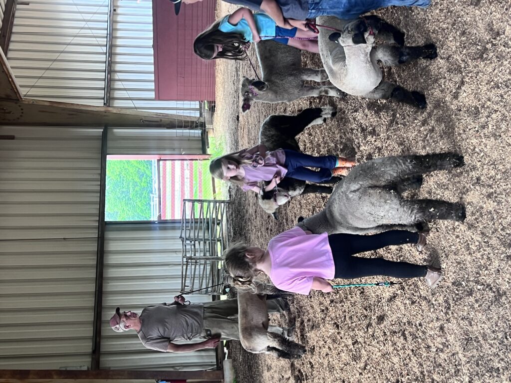 Lamb workouts