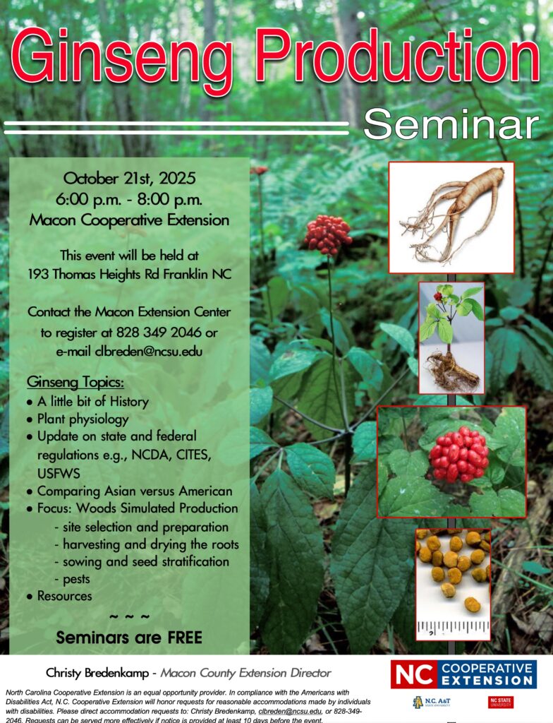 Ginseng Flyer