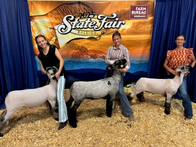Teenagers show their lambs at the NC State Fair.